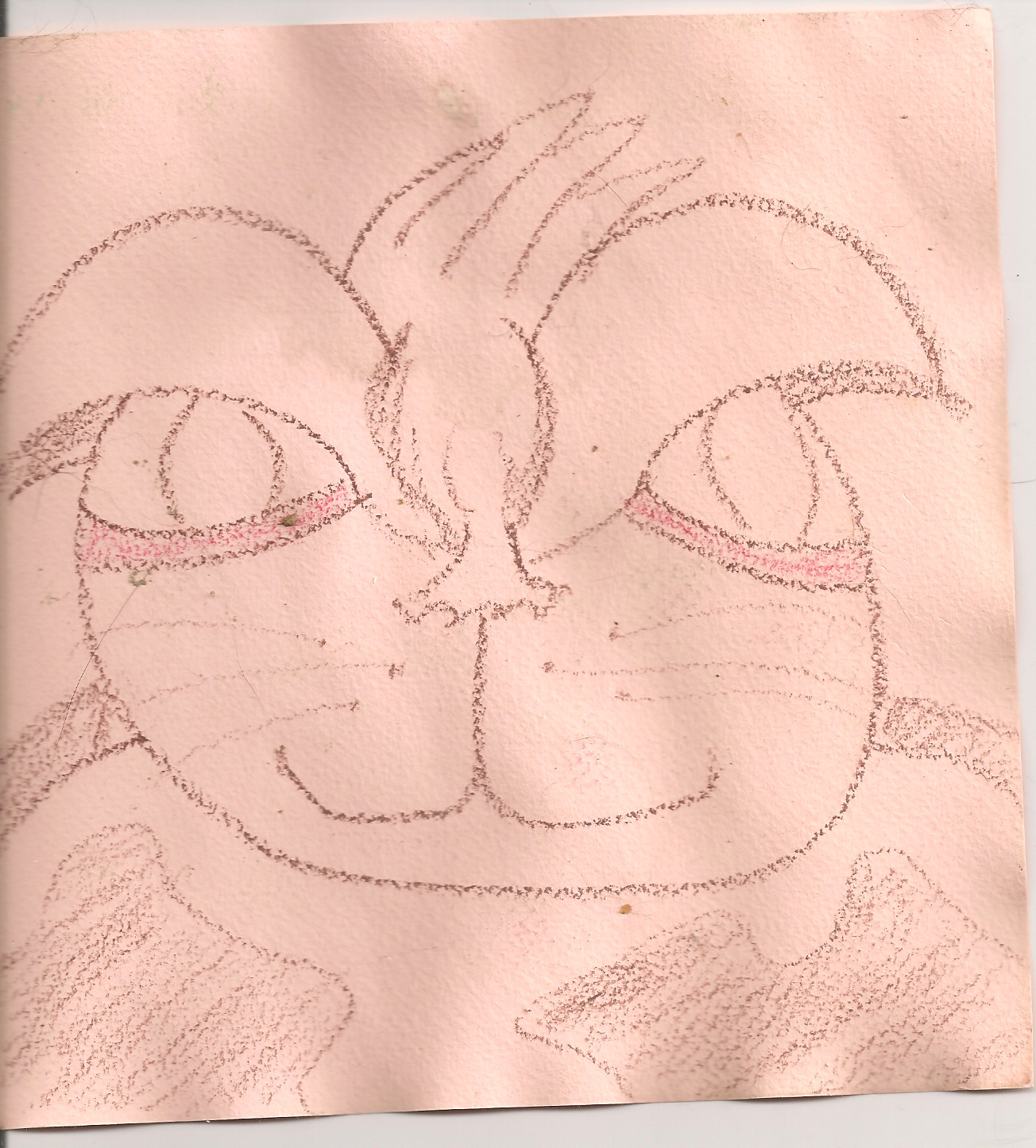 Un chat tout à fait sympathique