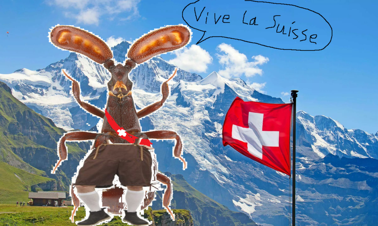 Une slide de ma conférence sur les Colilodion colongi