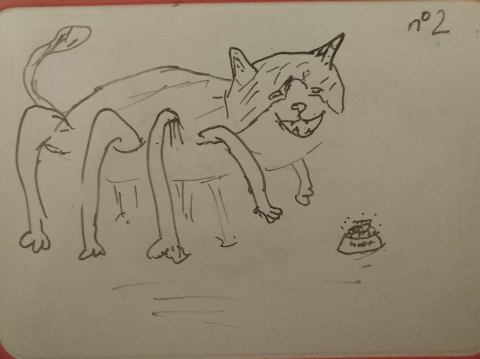 Chat araignée (charaignée)