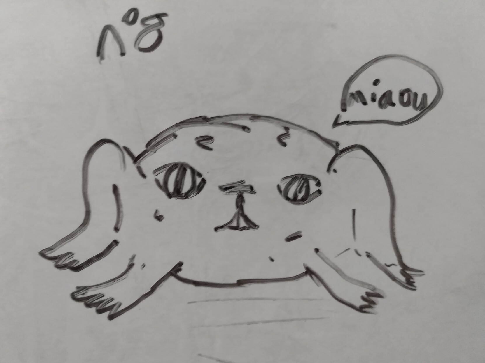 Un crapaud-chat (crachat)