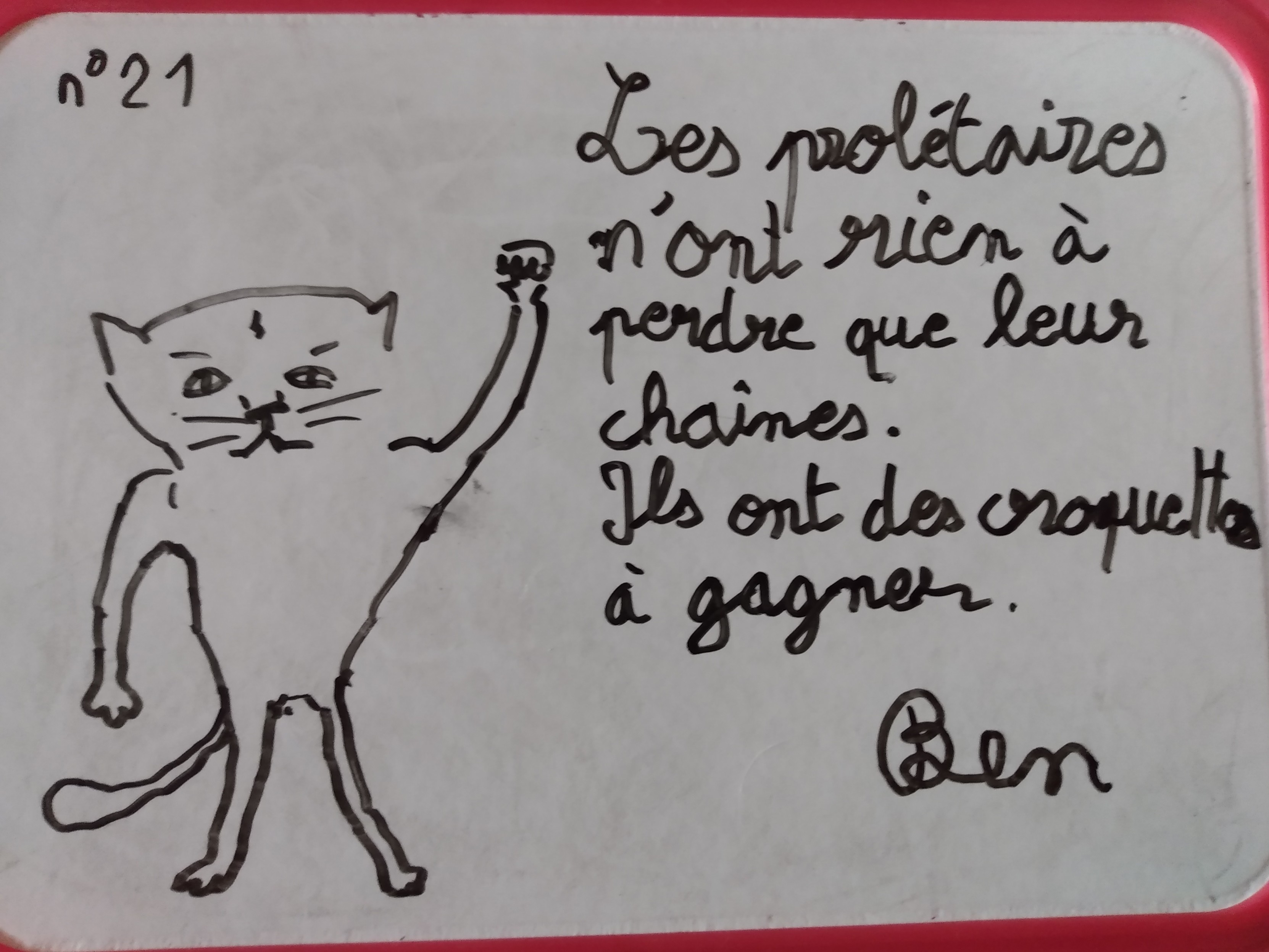 Chat qui lève le poing\n\n