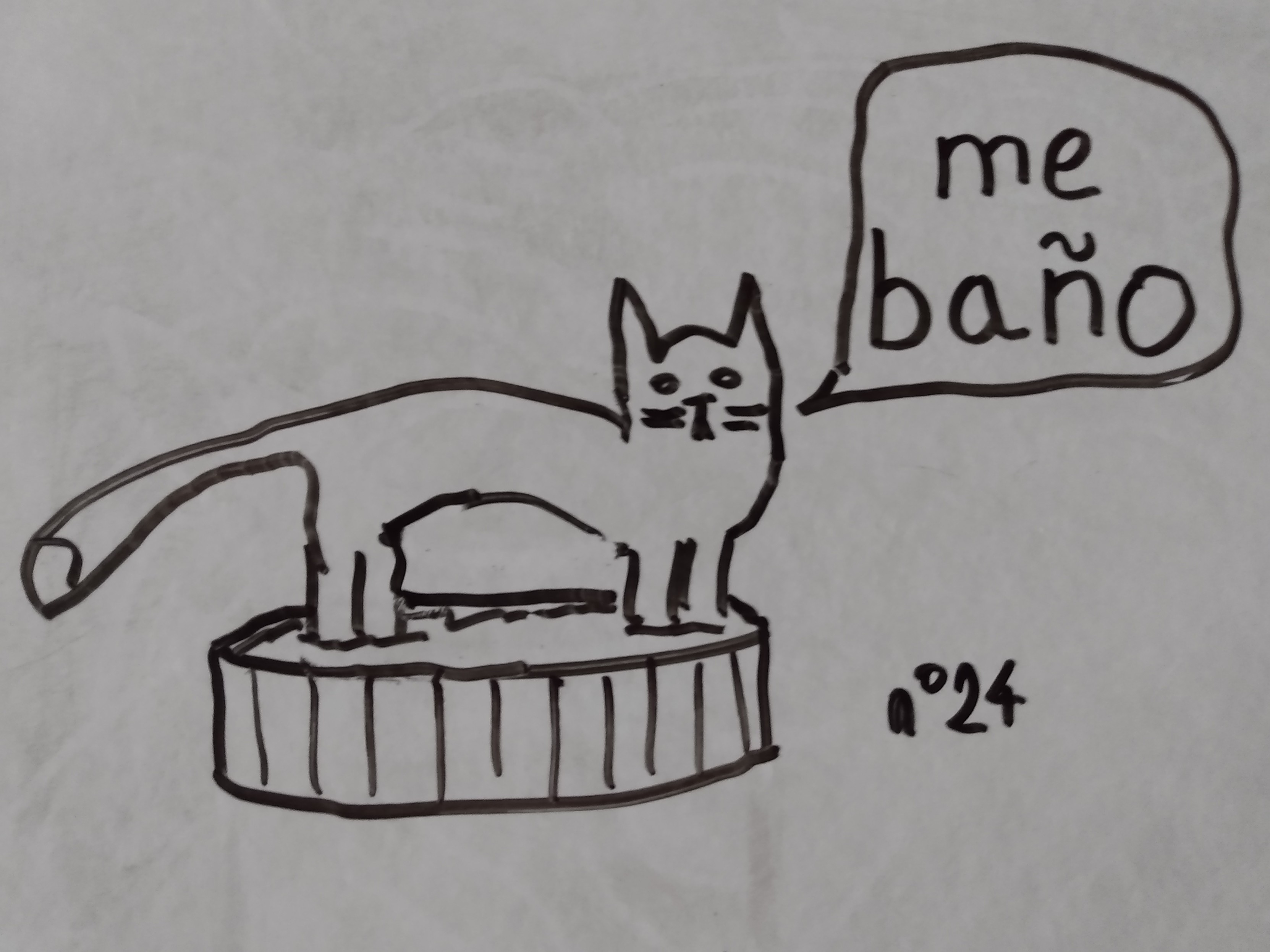 Le chat se baignant dans le petit baquet dit 