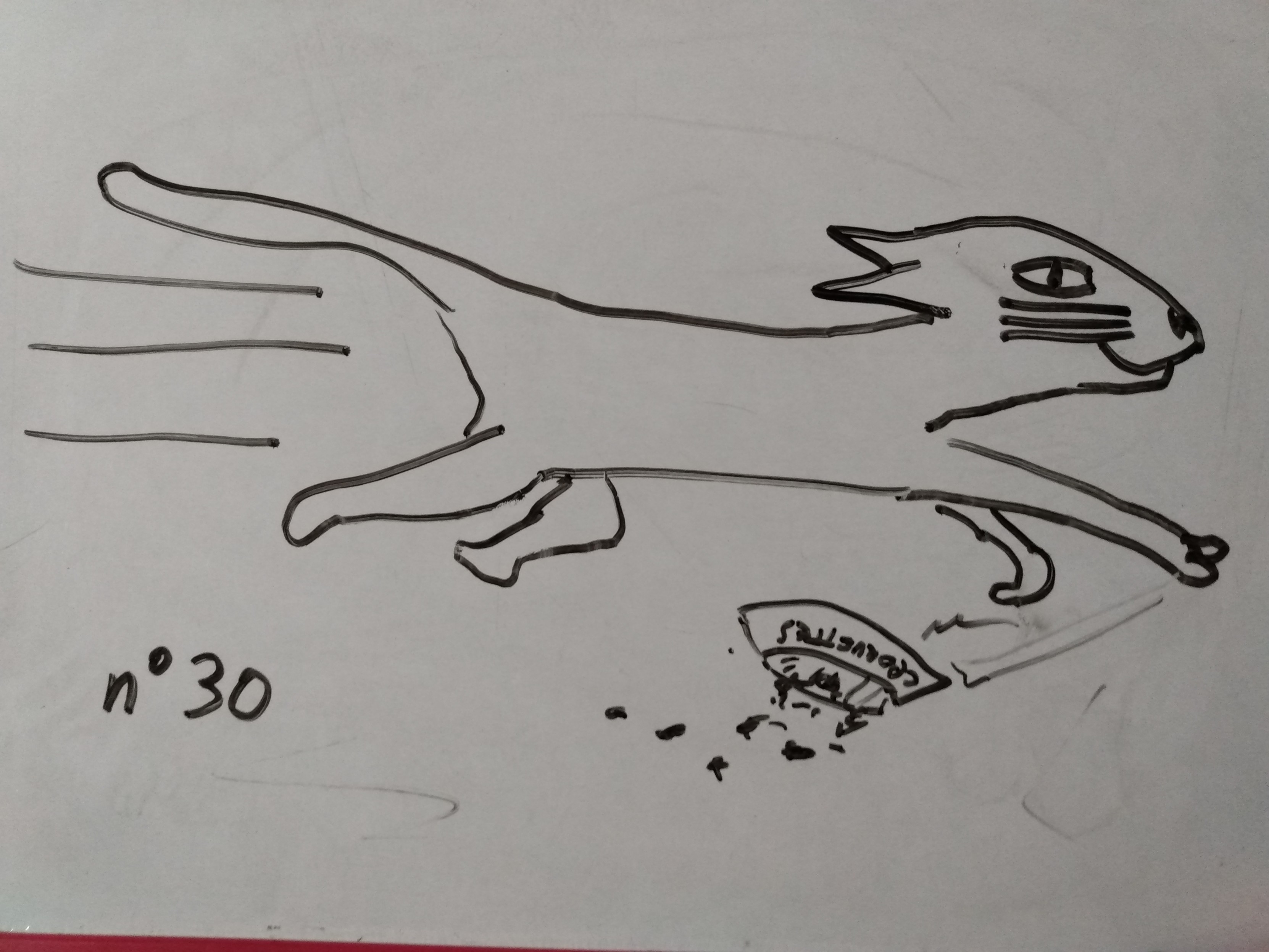 Un rapide chat rushe sa gamelle de croquettes